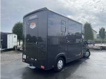 Paardenvrachtwagen Fiat Böckmann Compact Basic LKW: afbeelding 2