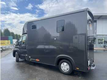 Paardenvrachtwagen Fiat Böckmann Compact Basic LKW: afbeelding 4