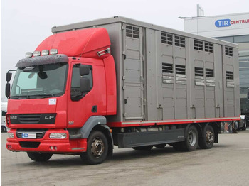 Veewagen vrachtwagen DAF LF 55 280