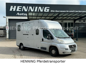 Paardenvrachtwagen FIAT Ducato