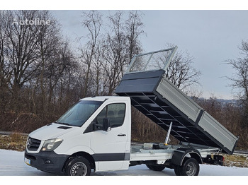 Kipper bestelwagen MERCEDES-BENZ Sprinter 519