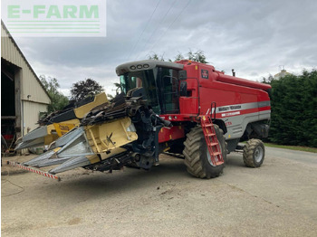 Maaidorser MASSEY FERGUSON