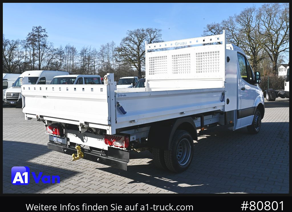 Kipper bestelwagen MERCEDES-BENZ Sprinter 314 Kipper, Klima, AHK,: afbeelding 9